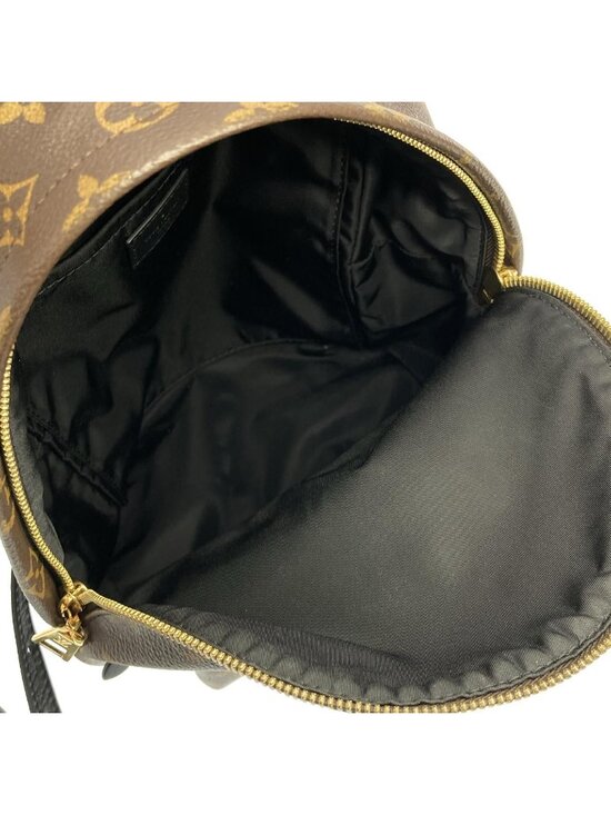 Louis Vuitton Monogram Palm Springs Backpack PM main image 4